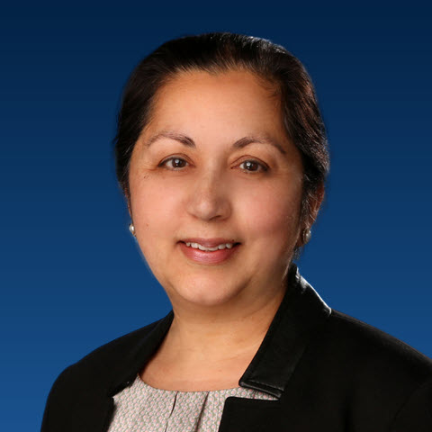 Mohineet Khosla, Esq., Director of Content Development, InterActive Legal